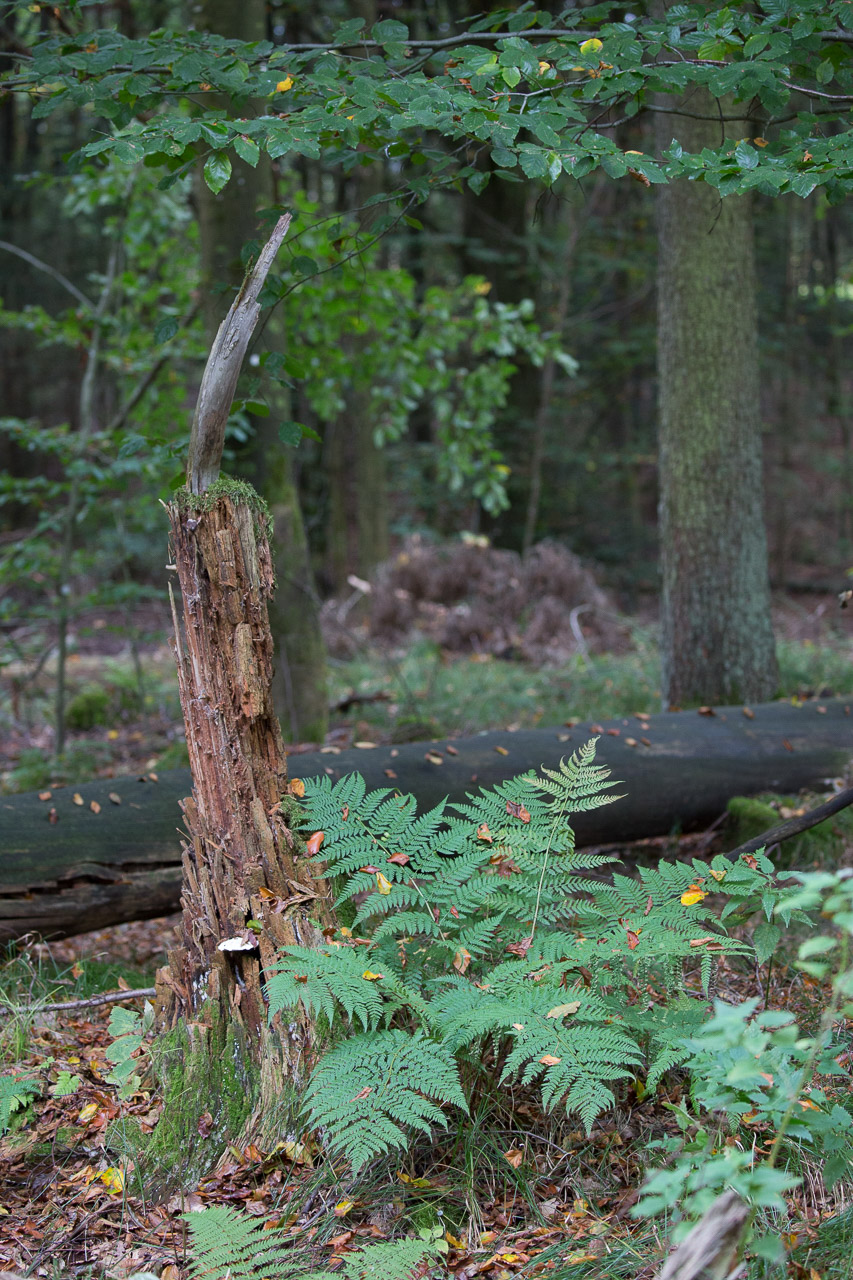 20231014100727 3K6A2207